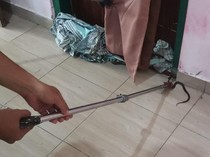 Pemuda Boyolali Digigit Anakan Ular Kobra, Begini Kondisi Tekininya