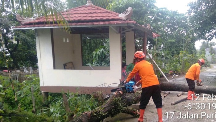 [Hujan Angin Membuat Pohon Tumbang, 3 Rumah di Cibinong Bogor Dihancurkan!]