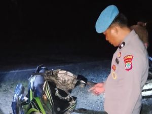 2 Motor Adu Banteng di Sulut gegara Hindari Lubang, 2 Orang Tewas-1 Dirawat