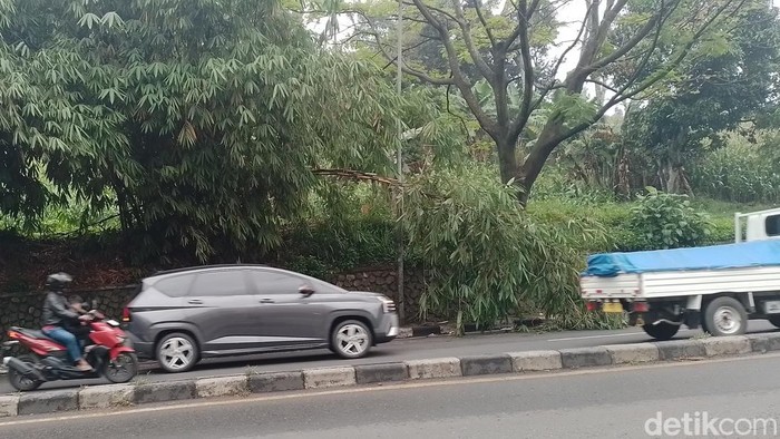 Rumbaian bambu di Jalan Raya Bypass Cicalengka-Nagreg.