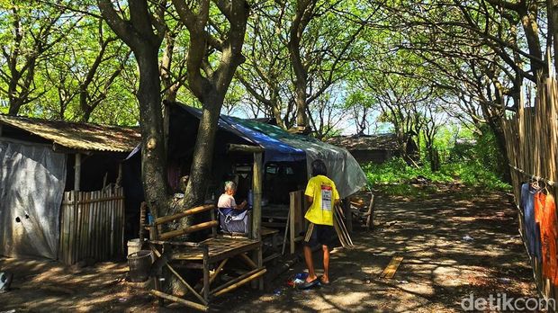 Suasana teduh di bawah kanopi rimbunan daun Kalujaran di Kampung Sidat
