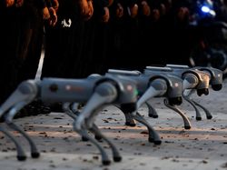 Teknologi Canggih, Anjing Robot K9-X Disiapkan Amankan Piala Dunia 2026