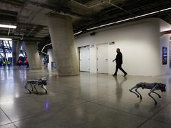 Teknologi Canggih, Anjing Robot K9-X Disiapkan Amankan Piala Dunia 2026