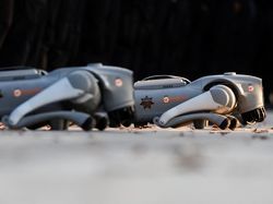 Teknologi Canggih, Anjing Robot K9-X Disiapkan Amankan Piala Dunia 2026