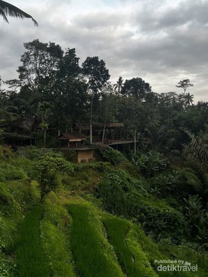 Bali Tak Hanya Denpasar, Jelajahi Juga Gianyar
