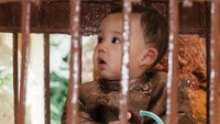 Wah... Arash mengambil stetoskop. Momen ini membuat Aaliyah senang dan berharap kelak Arash berhasil menggapai cita-cita seperti yang didambakannya, yakni dokter. Foto: Instagram @aaliyah.massaid