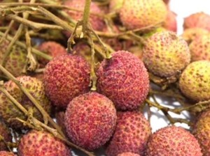 Mengenal Buah Ihau Khas Kalimantan, Mirip Leci Berdaging Kelengkeng