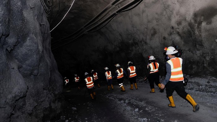 Fruta del Norte meningkatkan eksplorasi dan menimbang ekspansi pabrik untuk menopang pertumbuhan jangka panjang. REUTERS/Karen Toro