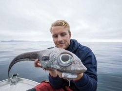 Foto Makhluk Laut Dalam yang Jarang Terlihat, Bikin Merinding!