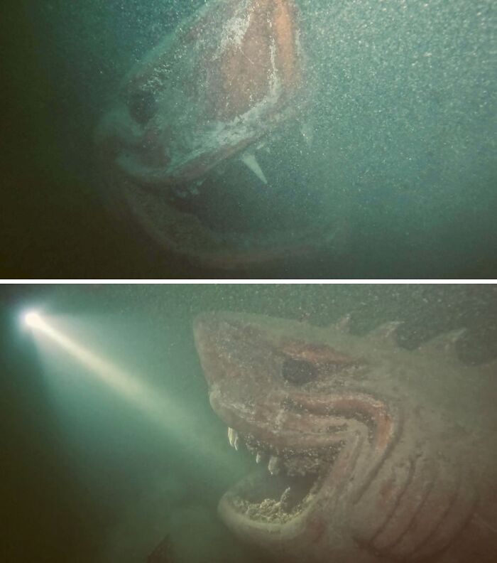 Foto yang Bikin Kamu Takut dengan Laut, Banyak Hal Misterius