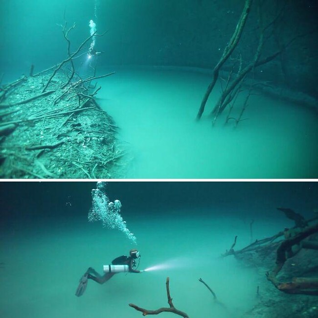 Foto yang Bikin Kamu Takut dengan Laut, Banyak Hal Misterius