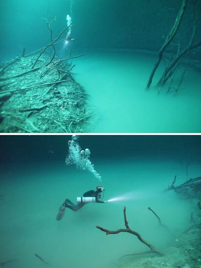 Foto yang Bikin Kamu Takut dengan Laut, Banyak Hal Misterius