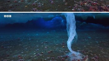 Finger of Death yang bakal membekukan apa saja yang ia sentuh. Foto: BBC Earth via Bored Panda
