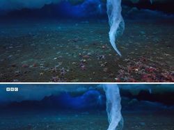 Foto yang Bikin Kamu Takut dengan Laut, Banyak Hal Misterius