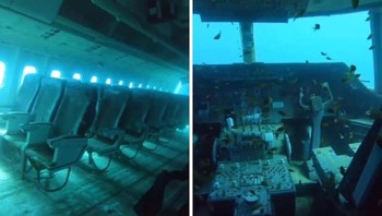 Pesawat di dasar laut. Foto: via Bored Panda