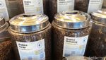 Ngopi Asyik di Pasar 8 Alam Sutera, Ada Kopi Arabika Luwak yang Unik!