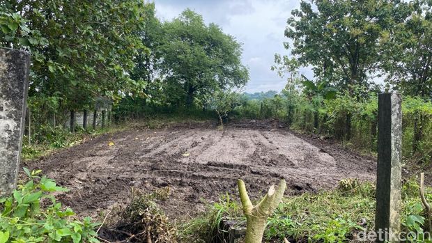 Lahan untuk pengungsian korban tanah gerak di Kelurahan Jangli, Tembalang, Kota Semarang, Jumat (13/2/2026). Lahan untuk pengungsian korban tanah gerak di Kelurahan Jangli, Tembalang, Kota Semarang, Jumat (13/2/2026).