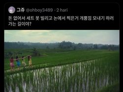 Timeline Panas! Meme Kocak SEAblings Balas K-Netz Rasis di X