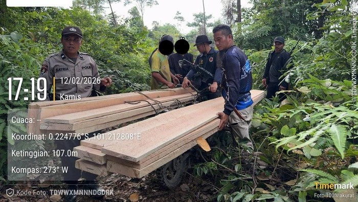 Polres Kuansing membongkar illegal logging di hutan suaka margasatwa Rimbang Baling.