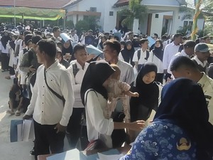 13.970 PPPK Paruh Waktu Pemkab Bima Tak Dapat THR, Gaji Belum Dibayar