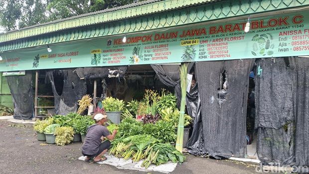 Blok C Pasar Bunga Rawa Belong, Jakarta Barat