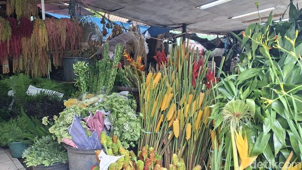 Blok C Pasar Bunga Rawa Belong, Jakarta Barat