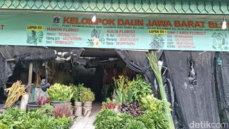 Blok C Pasar Bunga Rawa Belong, Berburu Daun Dekorasi Mulai Rp 10 Ribuan