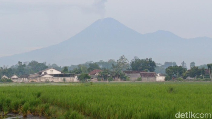 Gunung Semeru Kembali Erupsi Pagi Ini, Luncurkan Awan Panas Sejauh 6 Km, Ancam Warga sekitar!