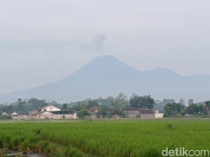 Gunung Semeru 4 Kali Erupsi, Abu Vulkanik Membumbung 1.200 Meter