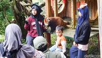Sejumlah pengunjung tampak antusias memberi makan dan berfoto bersama red panda di area wahana satwa.