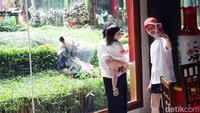Pengunjung keluarga lainnya terlihat menikmati interaksi satwa sambil berfoto bersama panda yang menjadi daya tarik utama kawasan tersebut.