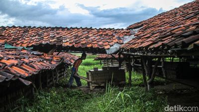 Menjaga Bara Terakhir Lio Cibarusah