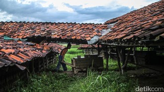Menjaga Bara Terakhir Lio Cibarusah