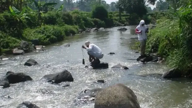 Cisadane Tercemar 2,5 Ton Pestisida, BRIN: Bahaya Jika Konsumsi Ikan!
