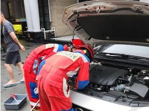 Sanca Albino Warga Jaktim Menghilang, Ternyata Ngumpet di Kap Mobil