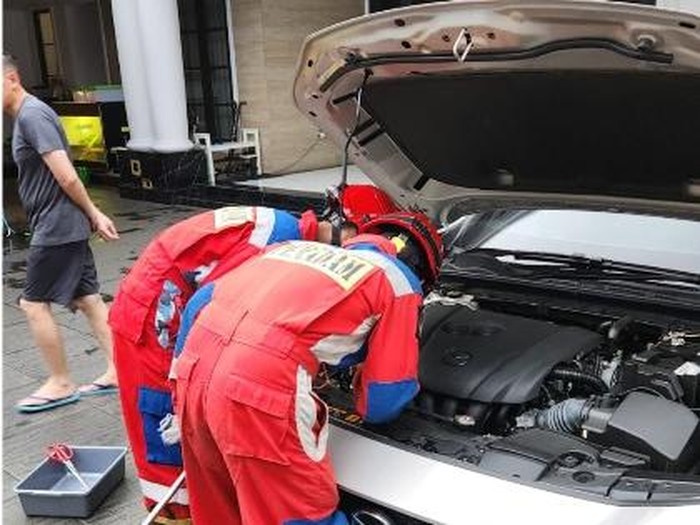 Petugas damkar mengevakuasi sanca albino di kap mobil milik warga Jakarta Timur. (dok istimewa)
