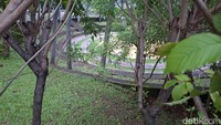 Taman Delonix, Hidden Gem di Jaktim, Tinggalan Anies Baswedan