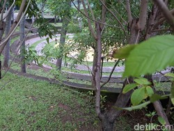 Taman Delonix, Hidden Gem di Jaktim, Tinggalan Anies Baswedan
