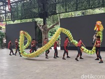 Libur Imlek, Taman Safari Bogor Gelar Parade Barongsai, Dipadati Wisatawan Jakarta