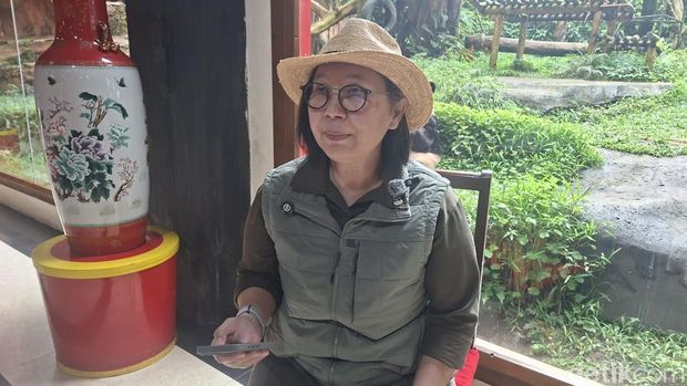 Taman Safari Indonesia merayakan Tahun Baru Imlek, Sabtu (14/2/2026). Taman Safari Indonesia merayakan Tahun Baru Imlek, Sabtu (14/2/2026).