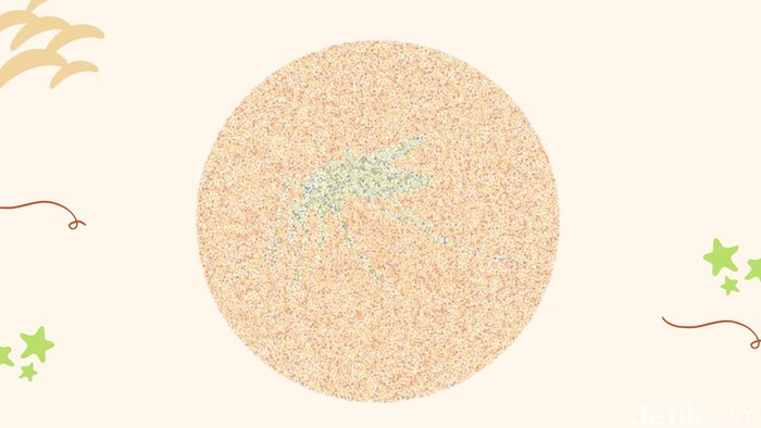 Gambar ini menguji kepekaan mata dalam membedakan warna dan pola. Coba yang ngaku nggak buta warna, bisa menjawabnya dengan cepat?