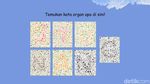 Tebak Nama Organ! Coba Susun Katanya Lewat Tes Buta Warna Ini