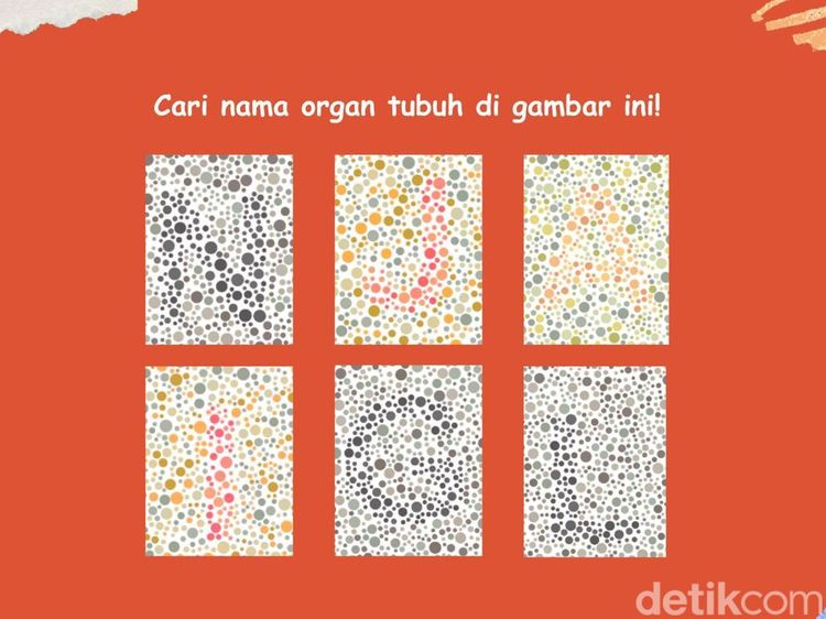 Tebak Nama Organ! Coba Susun Katanya Lewat Tes Buta Warna Ini