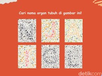 Tebak Nama Organ! Coba Susun Katanya Lewat Tes Buta Warna Ini