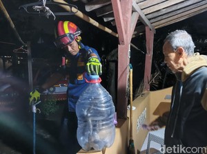 Suara Mendesis di Atap Warga Paseban Klaten, Ternyata Kobra 1,2 Meter Ngumpet
