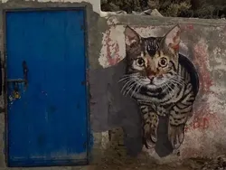 Kumpulan Foto yang Bisa Jadi Mood Booster