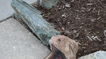 Foto: Street Art Utopia