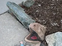 Kumpulan Foto yang Bisa Jadi Mood Booster