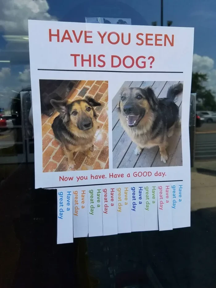 Kumpulan Foto yang Bisa Jadi Mood Booster