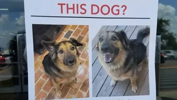 Foto: Street Art Utopia